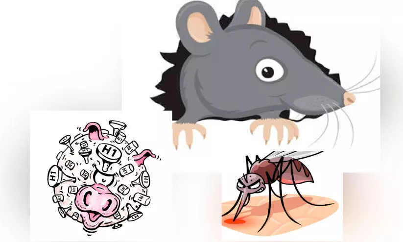 വീണ്ടും പനിമരണം: പത്തനംതിട്ട ജില്ലയിൽ ആശങ്ക വർധിക്കുന്നു വീണ്ടും പനിമരണം: പത്തനംതിട്ട ജില്ലയിൽ ആശങ്ക വർധിക്കുന്നു