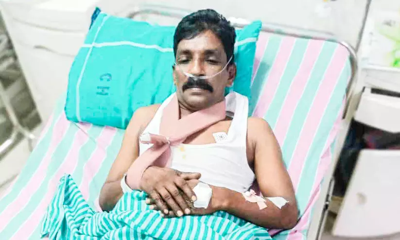 കാട്ടുപന്നി കുറുകെ ചാടി; കെ.എസ്.ഇ.ബി ജീവനക്കാരന് പരിക്ക് കാട്ടുപന്നി കുറുകെ ചാടി; കെ.എസ്.ഇ.ബി ജീവനക്കാരന് പരിക്ക്