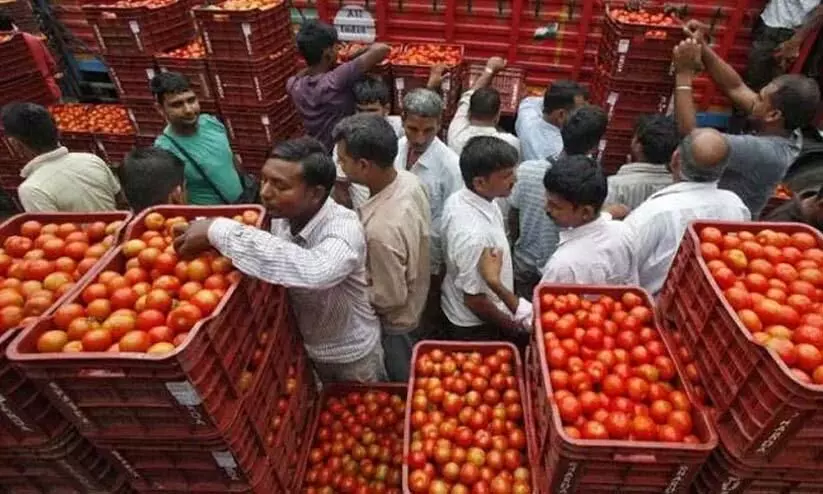 Spike in tomato prices temporary phenomenon