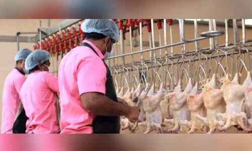 ഉ​യ​ർ​ച്ച​യു​ടെ പ​ട​വു​ക​ൾ