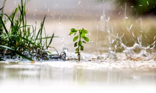 മഴ കനത്തു; കൺട്രോൾ റൂം തുറന്നു