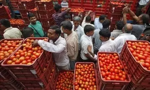 Spike in tomato prices temporary phenomenon