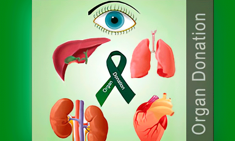 മരണാനന്തര അവയവദാന രജിസ്ട്രേഷൻ താഴോട്ട്