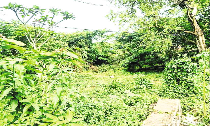 പാർക്കിങ് സൗകര്യമില്ലാതെ വള്ളിക്കുന്ന് റെയിൽവേ സ്റ്റേഷൻ പാർക്കിങ് സൗകര്യമില്ലാതെ വള്ളിക്കുന്ന് റെയിൽവേ സ്റ്റേഷൻ