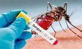 അടുത്ത മാസം ഡെങ്കിപ്പനിക്കേസുകൾ രൂക്ഷമായേക്കുമെന്ന് മുന്നറിയിപ്പ് അടുത്ത മാസം ഡെങ്കിപ്പനിക്കേസുകൾ രൂക്ഷമായേക്കുമെന്ന് മുന്നറിയിപ്പ്