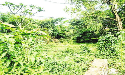 പാർക്കിങ് സൗകര്യമില്ലാതെ വള്ളിക്കുന്ന് റെയിൽവേ സ്റ്റേഷൻ പാർക്കിങ് സൗകര്യമില്ലാതെ വള്ളിക്കുന്ന് റെയിൽവേ സ്റ്റേഷൻ