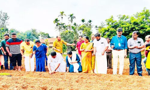 ഓ​ണ​പ്പൂ​വി​നാ​യി ബ​ത്തേ​രി​യി​ൽ ര​ണ്ട് ഏ​ക്ക​റി​ൽ പൂ​കൃ​ഷി