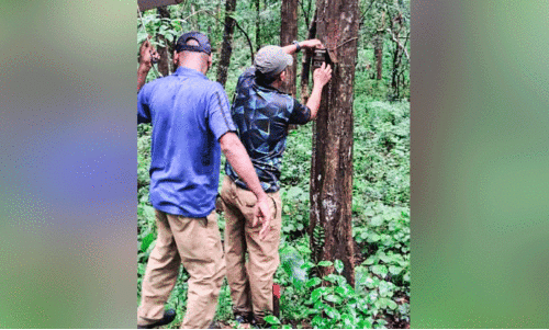 കനകപ്പലം വനമേഖലയിൽ മാലിന്യം തള്ളിയാൽ കാമറയിൽ കുടുങ്ങും