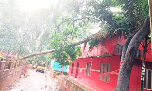 മഴ കനത്തു: പലയിടത്തും നാശനഷ്ടം