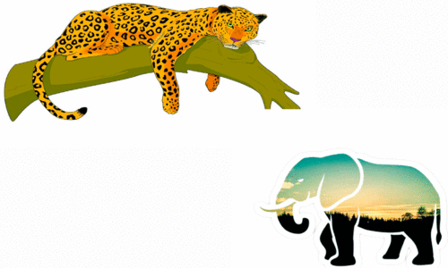 പുലിക്കുന്നിൽ പുലിക്കൊപ്പം ആനക്കൂട്ടവും