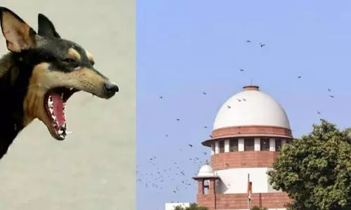 കേരളത്തിൽ നായകൾക്കെതിരായ അക്രമം തടയാൻ സുപ്രീം കോടതിയിൽ ഹർജി