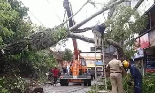 കാറ്റും മഴയും: മംഗളൂരു നഗരം വെള്ളത്തിൽ, മരങ്ങൾ പൊട്ടി വീണ് വൈദ്യുതി മുടക്കവും
