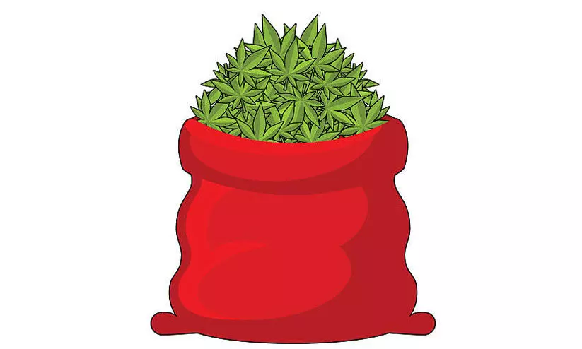 വ​ട​ക​ര​യി​ൽ ക​ഞ്ചാ​വ് ‘പു​ക​യു​ന്നു’;   പൊ​ലീ​സ് പ്ര​തി​ക്കൂ​ട്ടി​ൽ