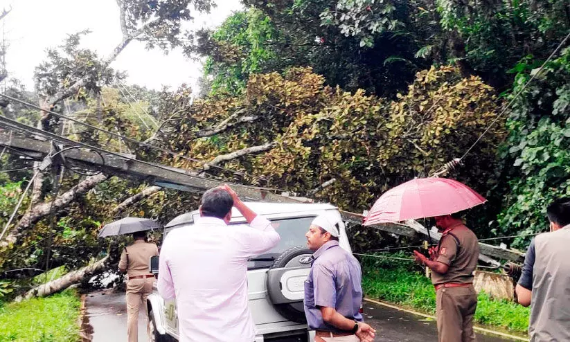 ദുരന്തങ്ങളുടെ ഓർമപ്പെടുത്തലുമായി ഹൈറേഞ്ചിന് വീണ്ടും ജൂലൈ ദുരന്തങ്ങളുടെ ഓർമപ്പെടുത്തലുമായി ഹൈറേഞ്ചിന് വീണ്ടും ജൂലൈ