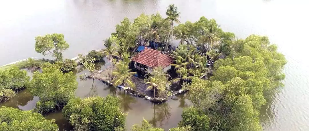 വൈപ്പിന് അതിജീവനം സാധ്യമോ? വൈപ്പിന് അതിജീവനം സാധ്യമോ?