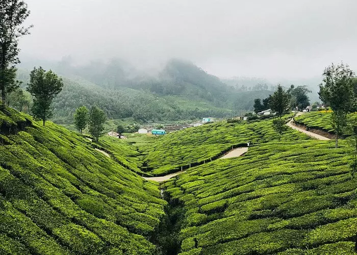 വട്ടവട വട്ടവട