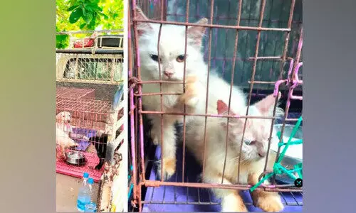 വളർത്തുപക്ഷി-മൃഗ വിൽപന നിയമം നവംബറിൽ; ചെറുകടകൾക്ക് മരണമണി വളർത്തുപക്ഷി-മൃഗ വിൽപന നിയമം നവംബറിൽ; ചെറുകടകൾക്ക് മരണമണി