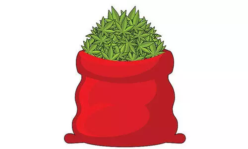 വ​ട​ക​ര​യി​ൽ ക​ഞ്ചാ​വ് ‘പു​ക​യു​ന്നു’;   പൊ​ലീ​സ് പ്ര​തി​ക്കൂ​ട്ടി​ൽ