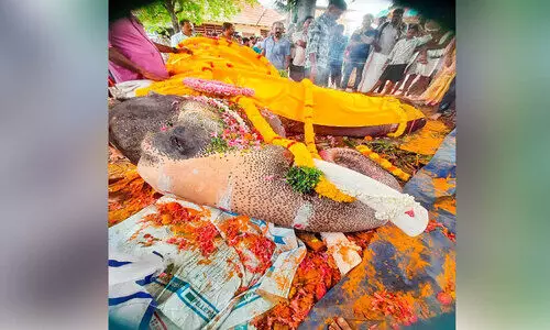 ആനപ്രേമികൾക്ക്​ കണ്ണീരായി ശ്രീകണ്ഠേശ്വരം ശിവകുമാർ