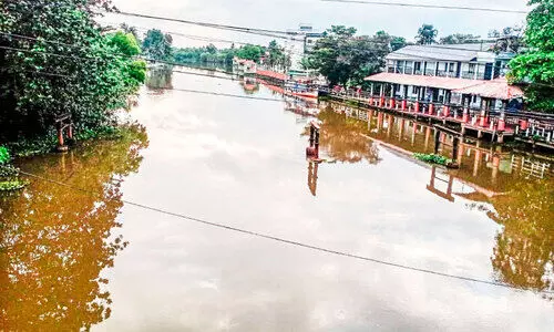 പോള മറഞ്ഞു; കോടിമതയിൽനിന്ന്​   ബോട്ട്​ സർവിസ് ഉടൻ