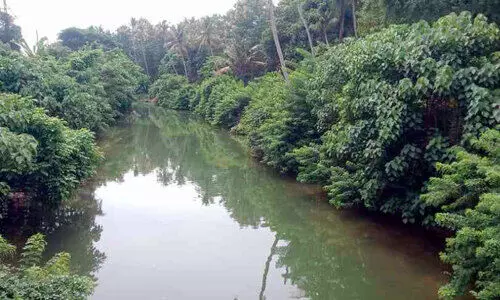 കാടുമൂടി; മാലിന്യംതള്ളൽ കേന്ദ്രമായി മണിയംകുളം തോടിന്‍റെ വശങ്ങൾ