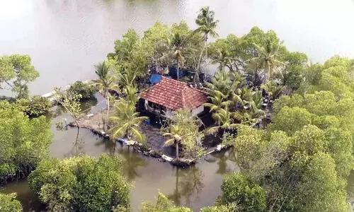 വൈപ്പിന്​ അതിജീവനം സാധ്യമോ?