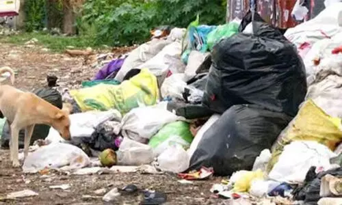 മാലിന്യം തള്ളൽ: കൊച്ചിയിൽ അഞ്ച് കേസുകൾ കൂടി രജിസ്റ്റർ ചെയ്തു