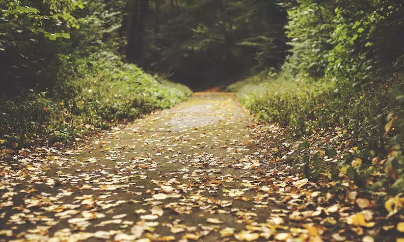 വ​ഴി മ​റ​ന്നു​പോ​യ​വ​ർ