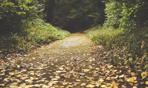 വ​ഴി മ​റ​ന്നു​പോ​യ​വ​ർ