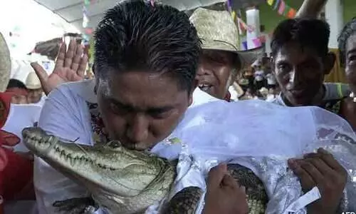 Mexican mayor gets married to crocodile to bring fortune to his people