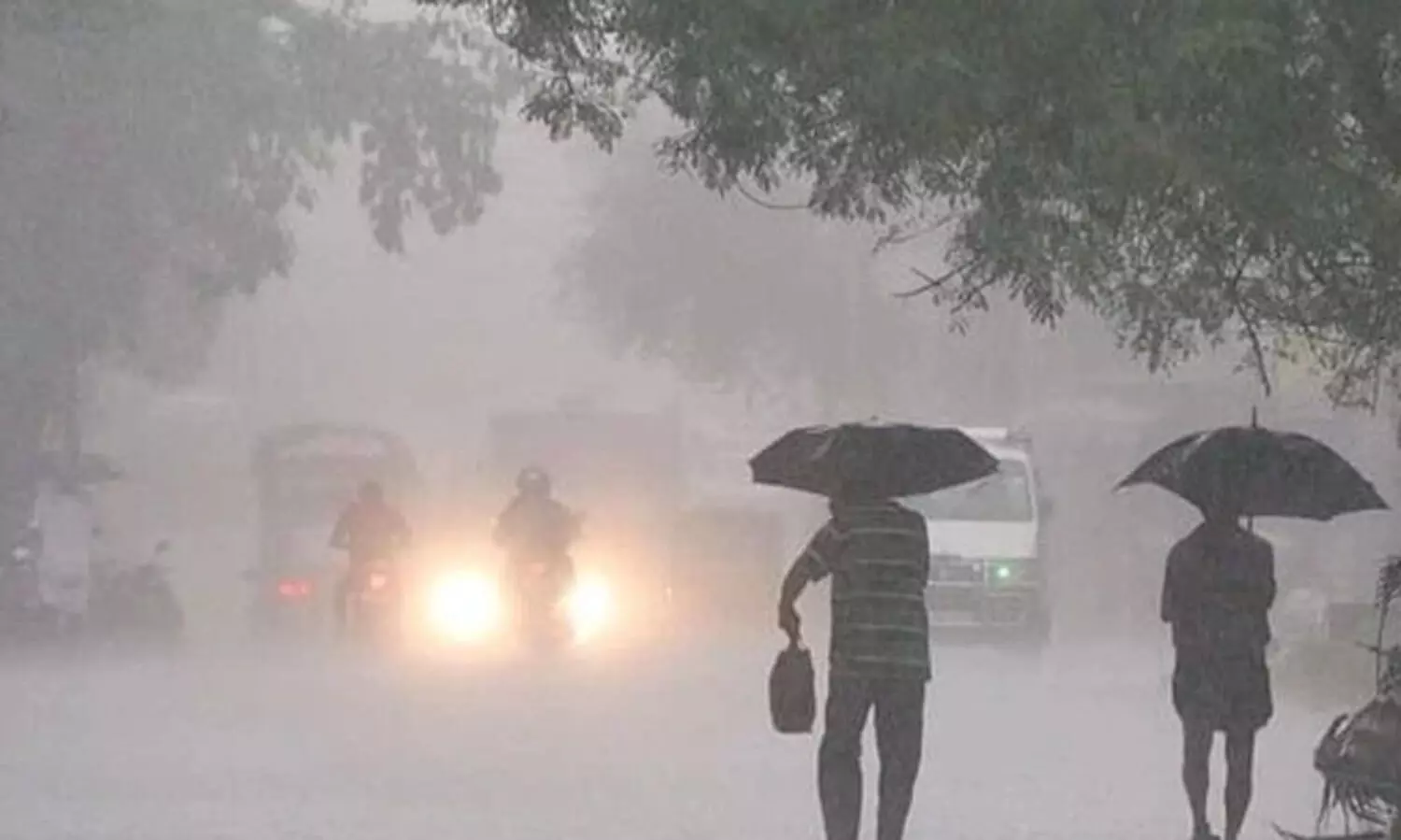 സംസ്ഥാനത്ത് അടുത്ത അഞ്ച് ദിവസം വ്യാപകമായ മഴ