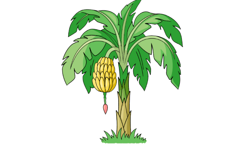 lack of production lack of production