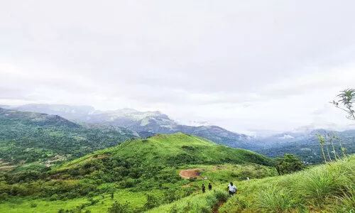 ഹ​രി​ത ഭം​ഗി​യി​ൽ ക​ക്കാ​ടം​പൊ​യി​ൽ വി​നോ​ദ​സ​ഞ്ചാ​രി​ക​ളു​ടെ ഒ​ഴു​ക്ക്...