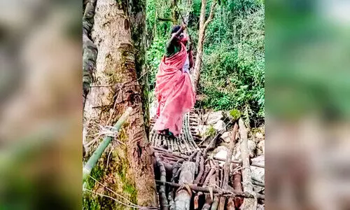 കള്ളകുട്ടിക്ക്​ വേണം ഒരു പാലം