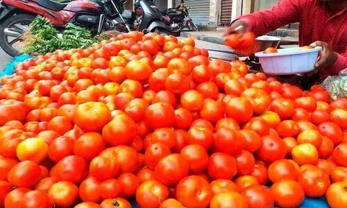 തക്കാളി വില വർധന: റേഷൻ കടകൾ വഴി  വിതരണം ചെയ്യാൻ തമിഴ്നാട് സർക്കാർ