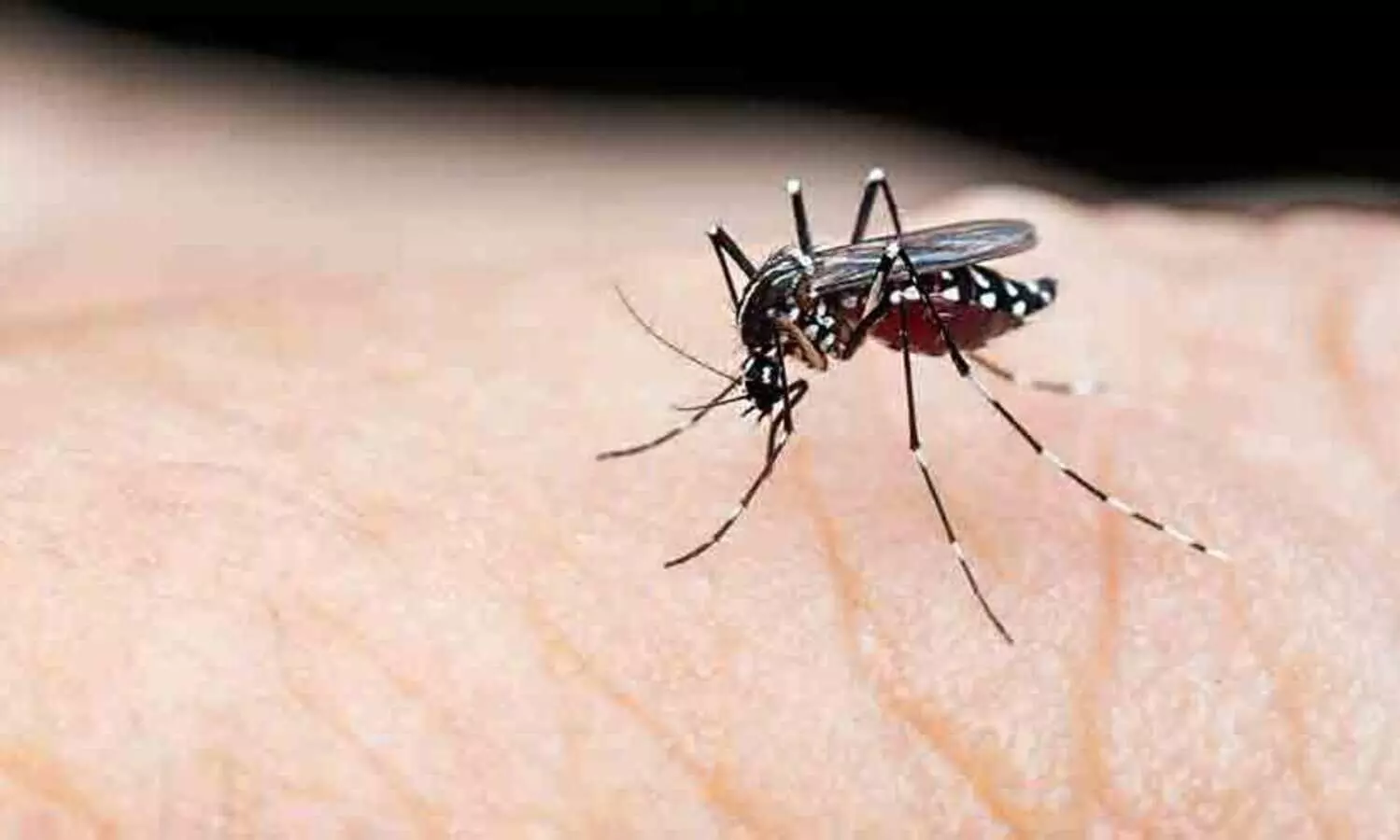 12,694 പേർക്ക്​ പനി; 55 പേർക്ക്​ ഡെങ്കിപ്പനി