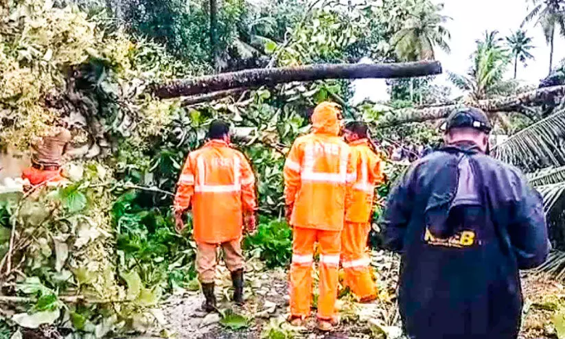 ചുഴലിക്കാറ്റ്; ആലപ്പുഴ ജില്ലയിൽ വ്യാപക നാശം