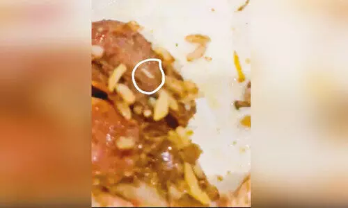 പുത്തനത്താണിയിലെ ഹോട്ടലിൽനിന്ന് കഴിച്ച ബിരിയാണിയിൽ പുഴുക്കൾ