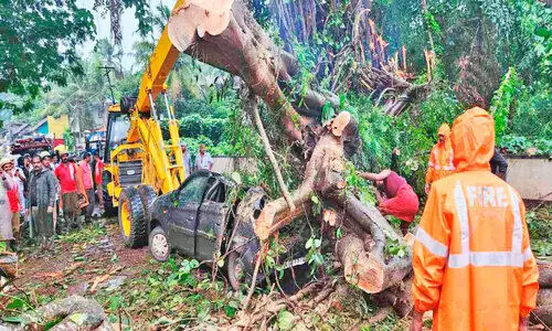 ഓ​ടിക്കൊ​ണ്ടി​രി​ക്കു​ന്ന കാ​റി​ന് മു​ക​ളി​ൽ മ​രം ക​ട​പു​ഴ​കി വീ​ണു