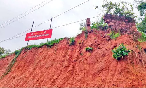 ദേശീയപാത മണ്ണെടുപ്പ്; നാഗസ്ഥാനം ഇടിഞ്ഞു ദേശീയപാത മണ്ണെടുപ്പ്; നാഗസ്ഥാനം ഇടിഞ്ഞു