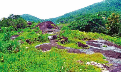 കുതിക്കാൻ   കുഞ്ഞാലിപ്പാറ