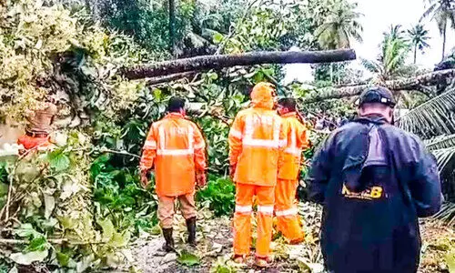 ചുഴലിക്കാറ്റ്; ആലപ്പുഴ ജില്ലയിൽ വ്യാപക നാശം