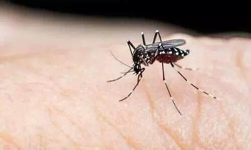 12,694 പേർക്ക്​ പനി; 55 പേർക്ക്​ ഡെങ്കിപ്പനി