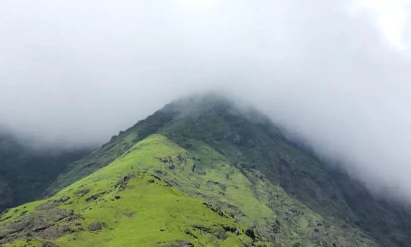 വയനാട്ടിൽ മലയോരങ്ങളില് ട്രക്കിങ്ങിന് നിരോധനം വയനാട്ടിൽ മലയോരങ്ങളില് ട്രക്കിങ്ങിന് നിരോധനം