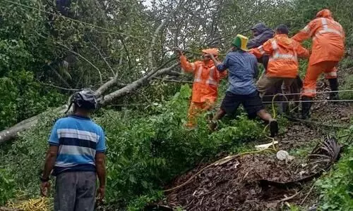 അരൂരിൽ റെയിൽവേ ട്രാക്കിലേക്ക് മരം വീണു