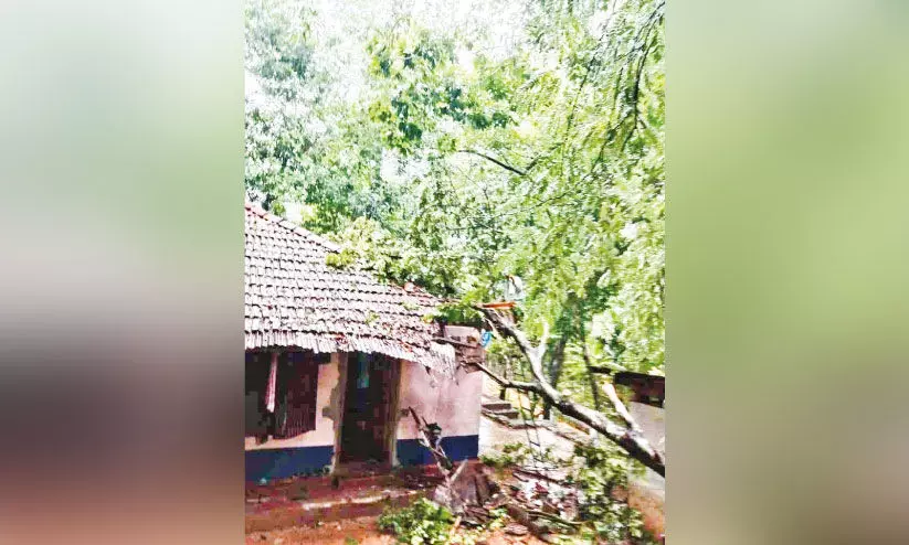 മ​ല​യോ​ര​ മേ​ഖ​ല​ക​ളി​ൽ​ ശ​ക്ത​മാ​യി കാ​ല​വ​ർ​ഷം