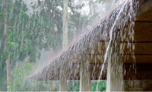 പന്തളത്ത് കാറ്റിലും മഴയിലും വ്യാപക നാശം; അച്ചൻകോവിലാറ്റിൽ ജലനിരപ്പ് ഉയർന്നു