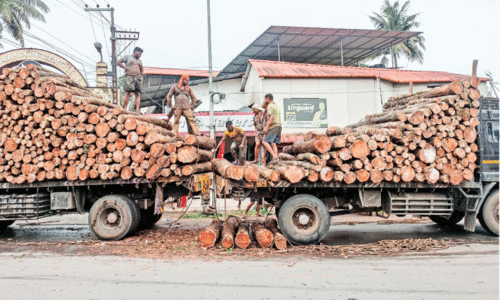 എം.സി റോഡിൽ തടി ലോറി അപകടത്തിൽപെട്ടു; യാത്രക്കാർ വലഞ്ഞു