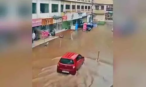 waterlogging waterlogging