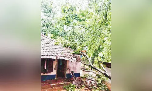 മ​ല​യോ​ര​ മേ​ഖ​ല​ക​ളി​ൽ​ ശ​ക്ത​മാ​യി കാ​ല​വ​ർ​ഷം